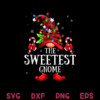 Sweetest Gnome Lights Red Plaid PNG Matching Family Christmas PNG Christmas Sweetest Gnome PNG